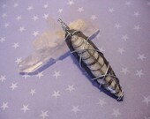 Fossil Orthoceras Wire Wrapped Pendant  Unisex, Nature, Zen, Protection from Negativity (12A1)