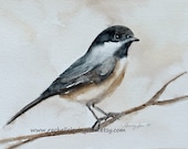Chickadee Bird Perching PRINT (from original Watercolor Painting 5 x 7)  in sepia copper golden white beige