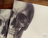 ENVELOPES Skull Skeleton Dark Victorian