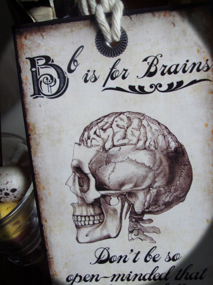 Anatomical Alphabet Flash Tags Edition Three Units Perfect Gift