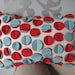 Disc Pillow in Aqua and Red