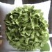 As Seen On Abc's GOOD MORNING AMERICA Hydrangea Pillow in Cream Linen and Sage/Pea Felt
