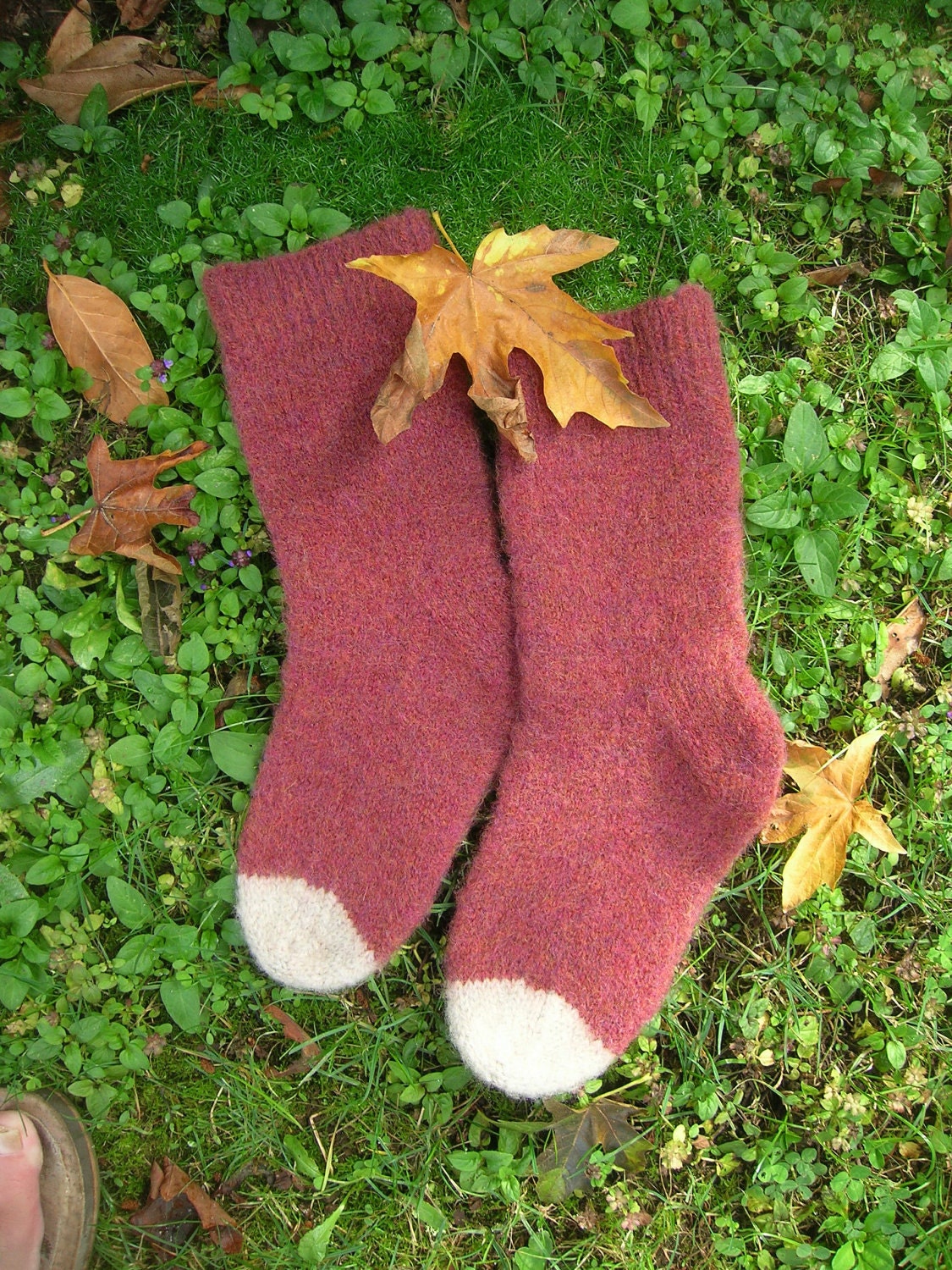 Socks  Wool  Hand Knit Socks - Slippers  100% Wool  Autumn Colors