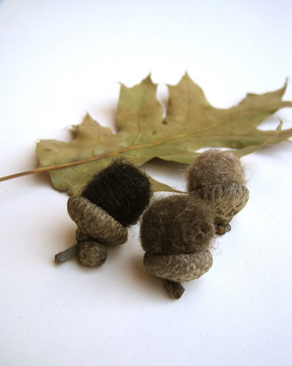 rustic brown wool acorns set of 12 / natural decor inspired by the forest
