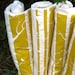 BABY blanket / organic flannel with saffron gold birch trees - fall woodland - eco friendly baby shower gift