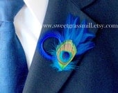 Peacock Feather Boutonniere - BEBE Boutonniere - Blue Teal Feathers
