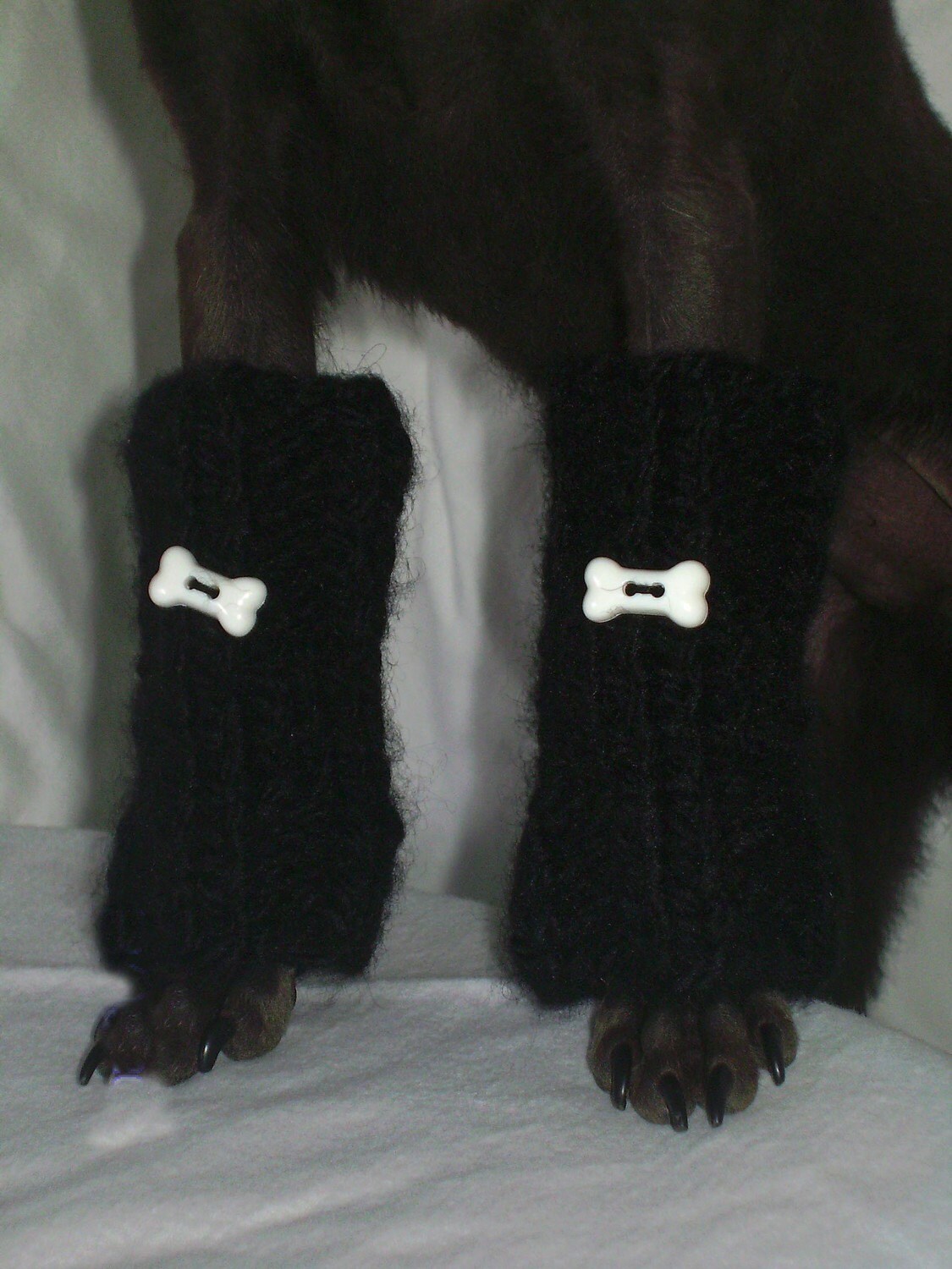 black legging's hand knit Dog Photo Prop