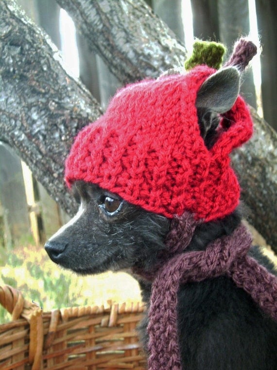 RED APPLE Hand Knit Dog hat Photo Prop
