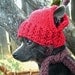 RED APPLE Hand Knit Dog hat Photo Prop