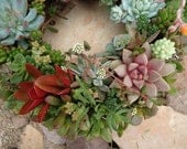 Succulent Wreath, Featured in Birds and Blooms and Phoenix Magazines, Etsy Featured Seller, 12" - SucculentDESIGNS
