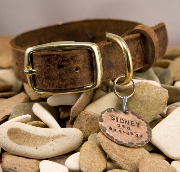 Leather dog collar, name, tag, distressed 3/4 in