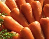 Organic Chanteney Carrot Red Cored Heirloom Vegetable Seeds