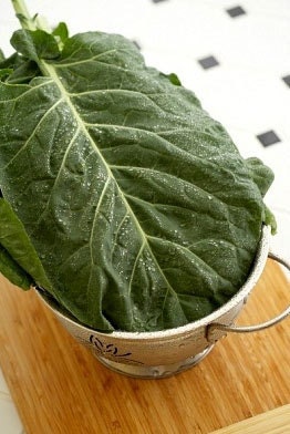 Organic Morris Heading Collards Heirloom Vegetable Seeds