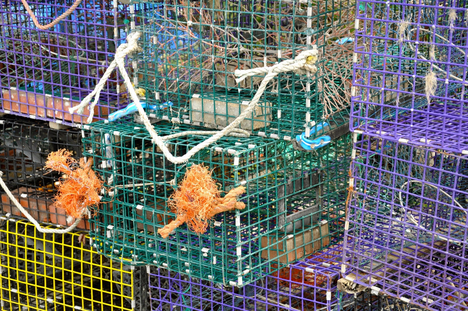 Lobster Pots 8x10