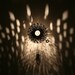 Wall Lamp: Steamlight - Designer Edition