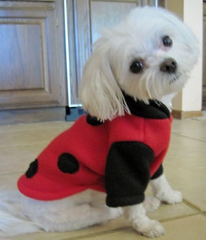 Halloween Ladybug Fleece Hoodie Costume for Small Dogs
