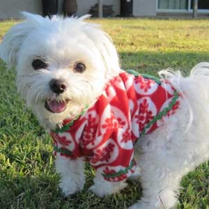 Etsy Christmas Dog Hoodie Red Snowflake Fleece