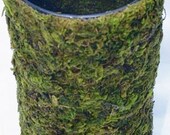 Moss covered candle holder flower vase 3x9