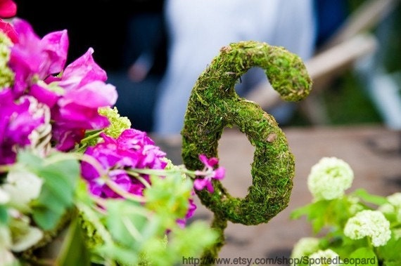 Moss Covered Wedding Table Numbers with Base