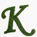 Moss Covered SCRIPT Wedding Door Initial Letter Wreath 18 inch