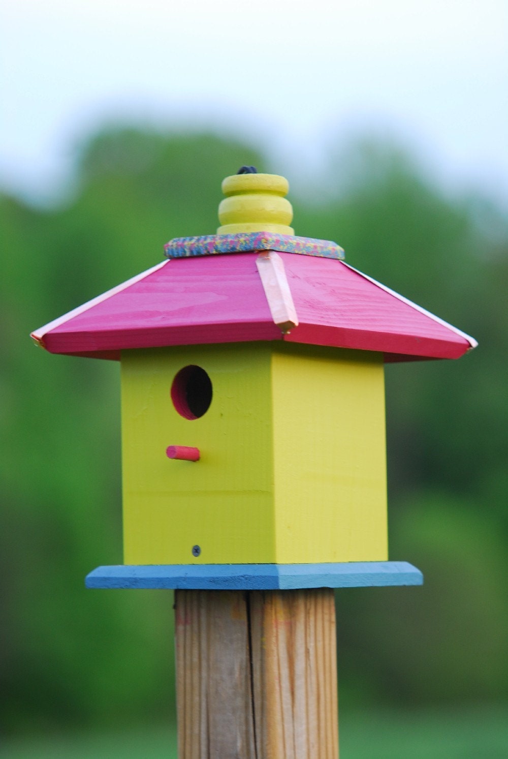 Hanging Birdhouse Painted Whimsical  NC USA