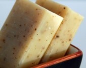 SALE Backpacker's Organic Shampoo and Body Bar with witch hazel - biodegradable camping soap