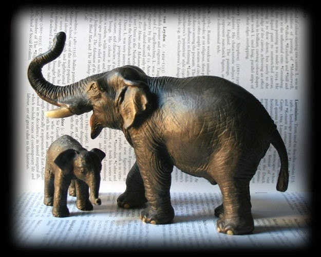 SALE - Elephant with Baby 8 x 10 Photo - Fine Art Photograph