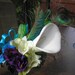 Calla Lily Peacock Feathers Bridesmaids Bouquet Wedding