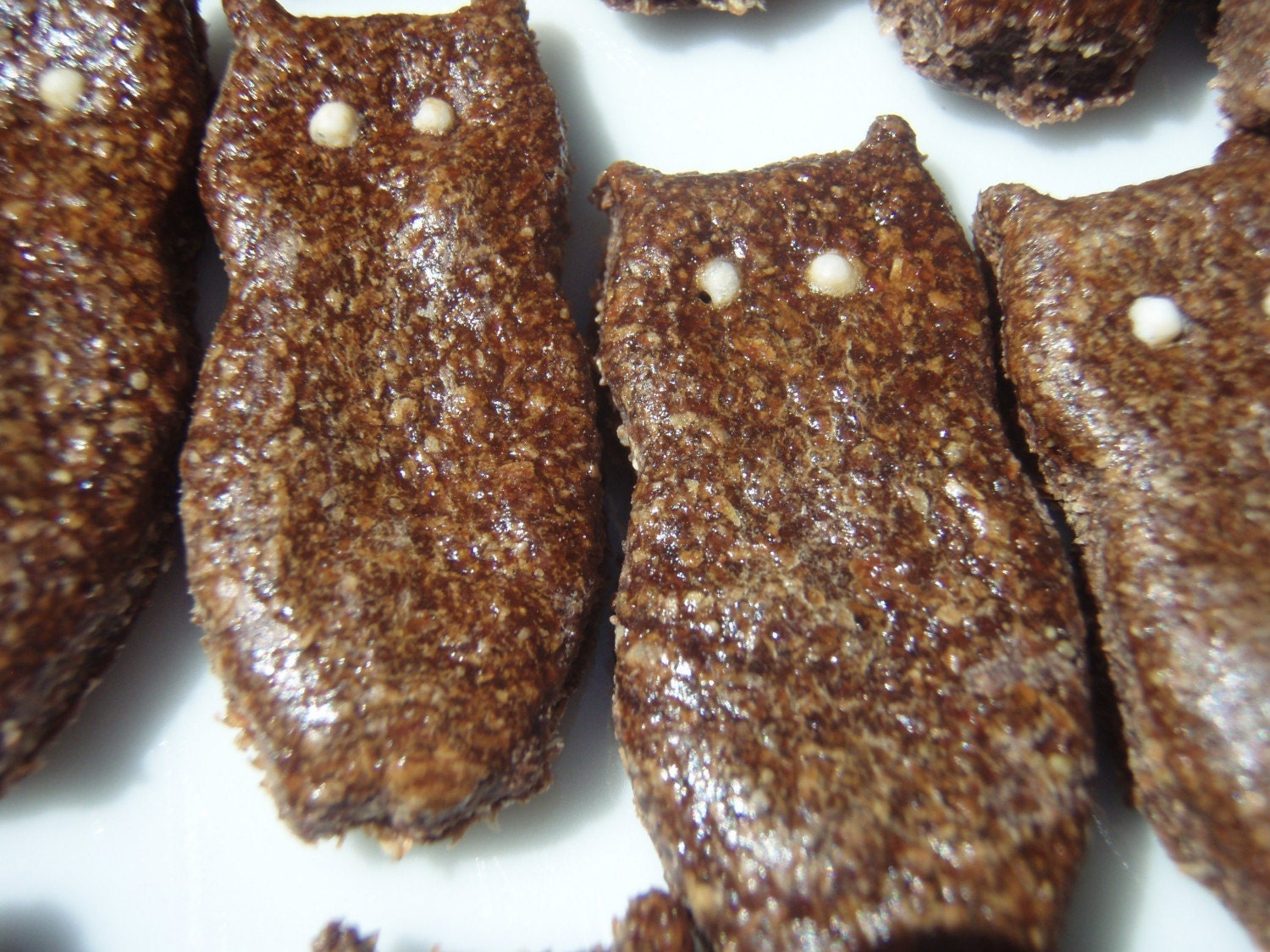 Dog Treats - Night Owls - Vegetarian Dog Treats Organic All Natural - Shorty's Gourmet Treats