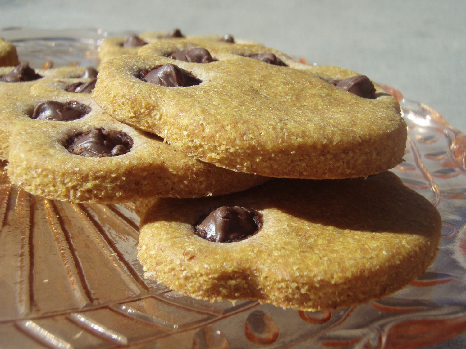 Dog Treats - Bear Claws - All Natural Dog Treats Organic Carob Chip Vegetarian - Shorty's Gourmet Treats