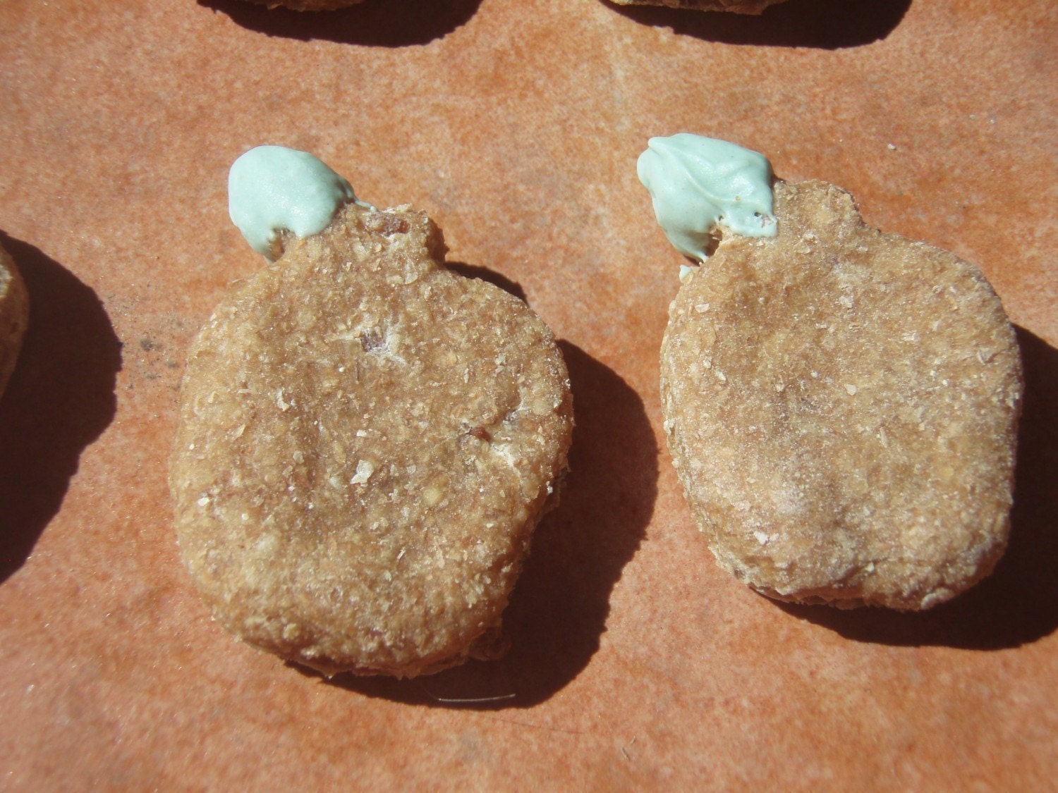 Organic Dog Treats - The New Yorker - -  Vegetarian Dog Treats Apple Chedder All Natural Organic - - Shorty's Gourmet Treats