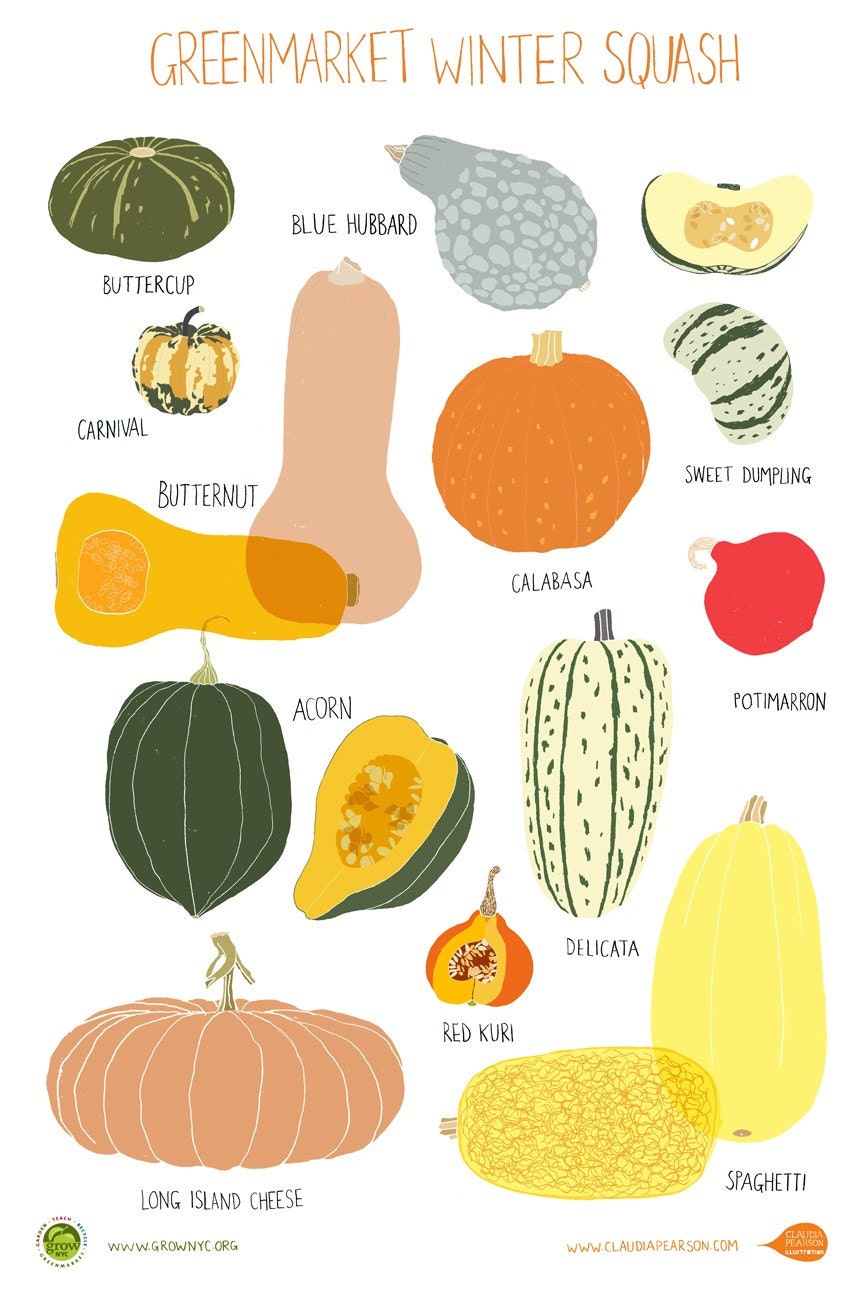 Winter Squash Poster