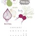 2010 Illustrated Calendar
