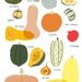 Winter Squash Poster
