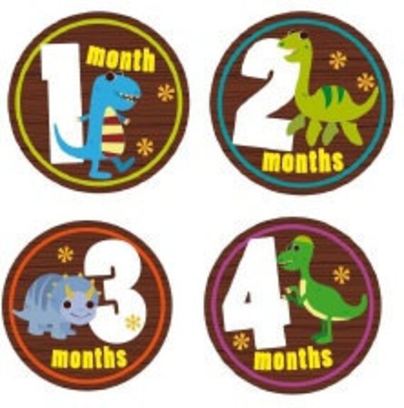 Dino-riffic- Monthly Onesie Stickers