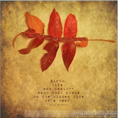 Sale Birth Nature quote Fine Art Print 12x12 ZNE fPOE
