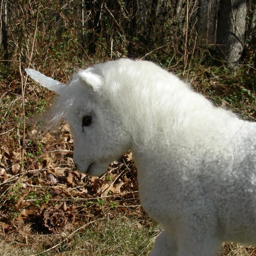 UNICORN   -  SOLD PENDING PYMT