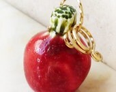 Fruit of the Earth - Pomegranate