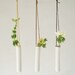 Hanging Test Tube Vase