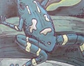 frog chalk drawing . . . 