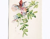 vintage flower illustration- 1908 sweet pea flower botanical print
