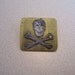 Steel and Brass Skull and Crossbones Pin