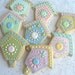 Bird House Decorated Cookie Favors - Bird House Decorated Cookies - 1 Dozen
