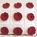 SALE - crochet cushion cover... Marilyn - a dozen red roses - SALE