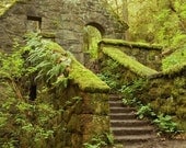 Mossy Nature Photography "Stone House" Moss Green Forest Park Woods Photograph - Portland Oregon Art Landscape Wall Decor - 8x12 Photo Print