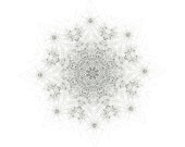 Nature Speaks art mandala creative meditation morning star art print giclee print creative visualization black and white