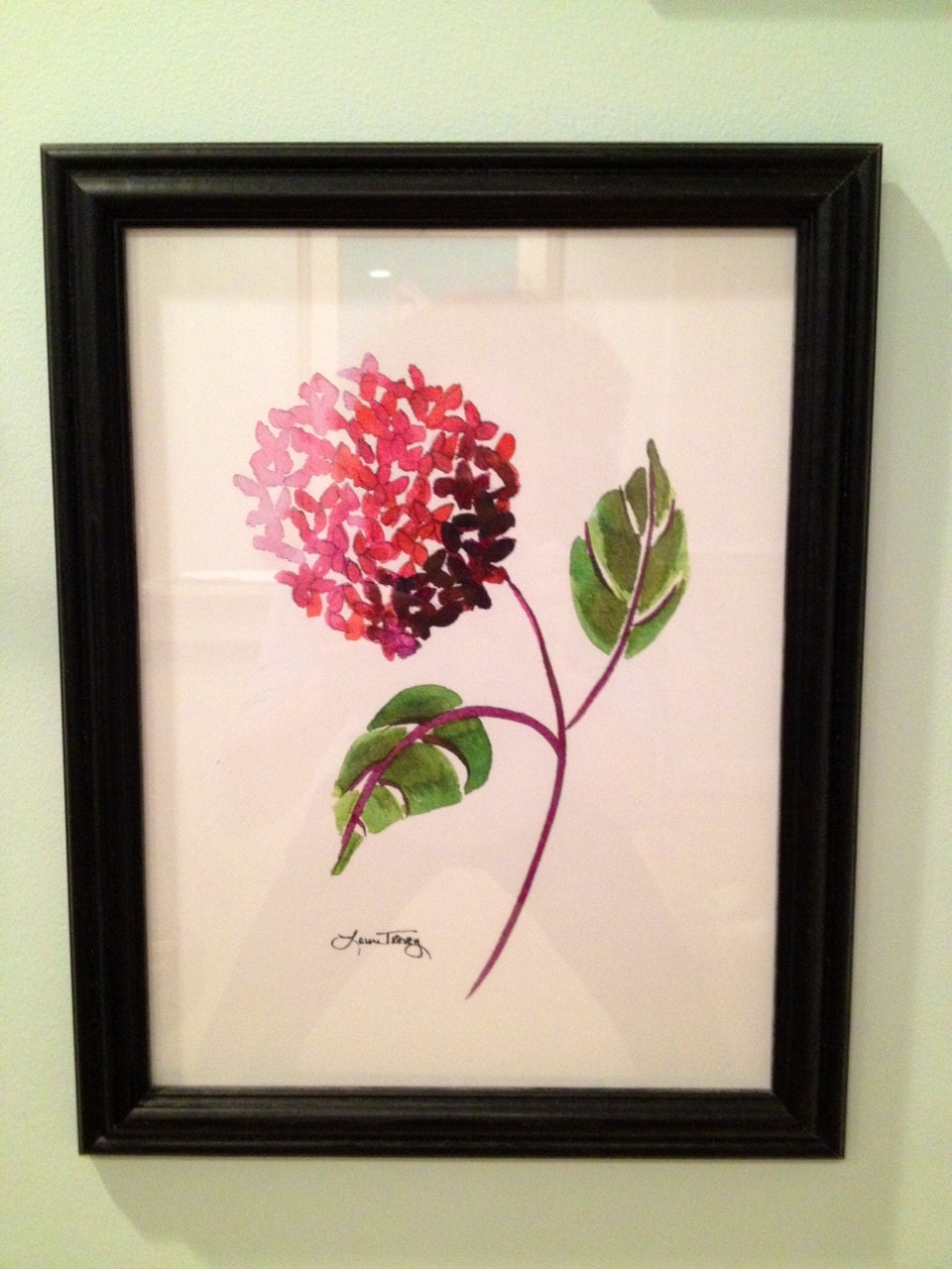 Pink Hydrangea Watercolor Print