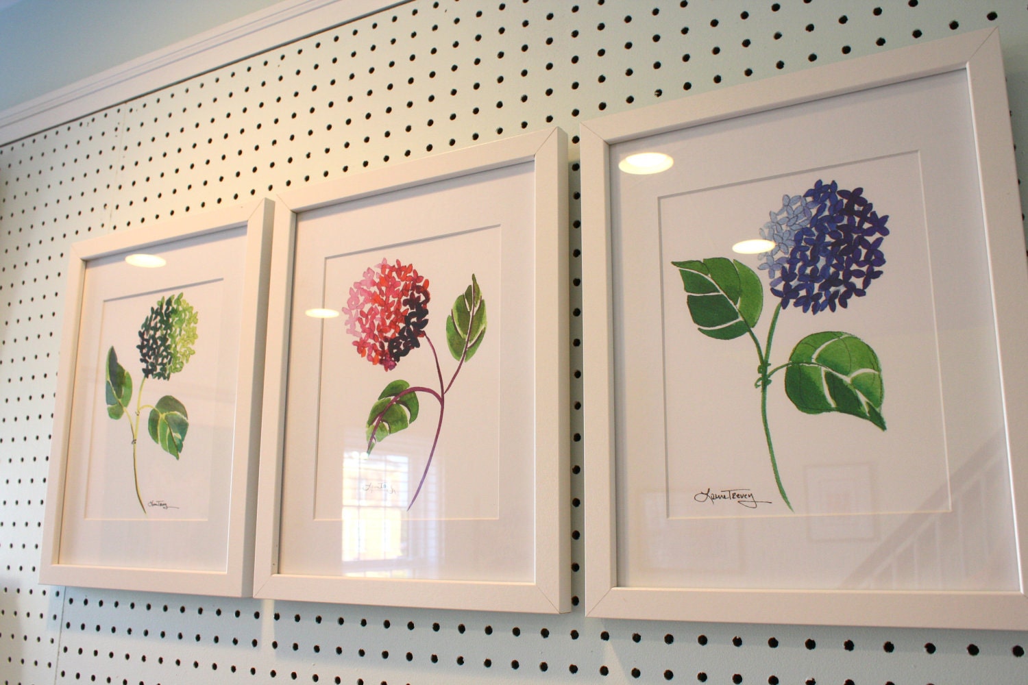 Hydrangea Watercolor Prints - Set of Three
