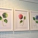 Hydrangea Watercolor Prints - Set of Three