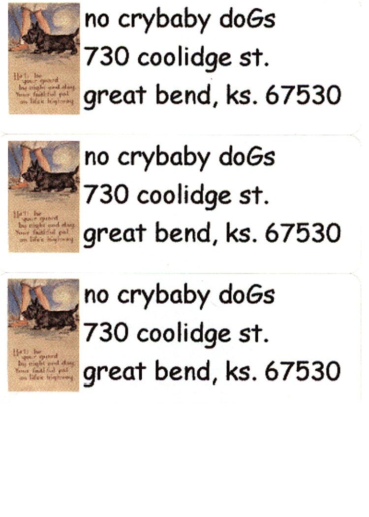 Your Pet Address Labels Custom Return Address Labels YOUR PHOTO Dog Cat Bird Turtle Horse Gerbil Pet